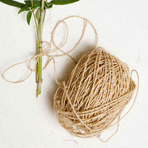 EcoMax - Natural Hemp Twine - Bangladesh